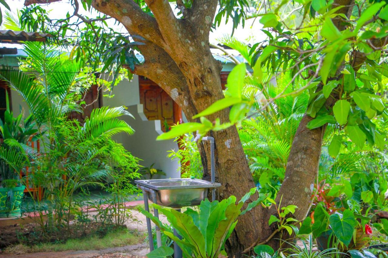 Sun Flower Homestay Сигирия Экстерьер фото