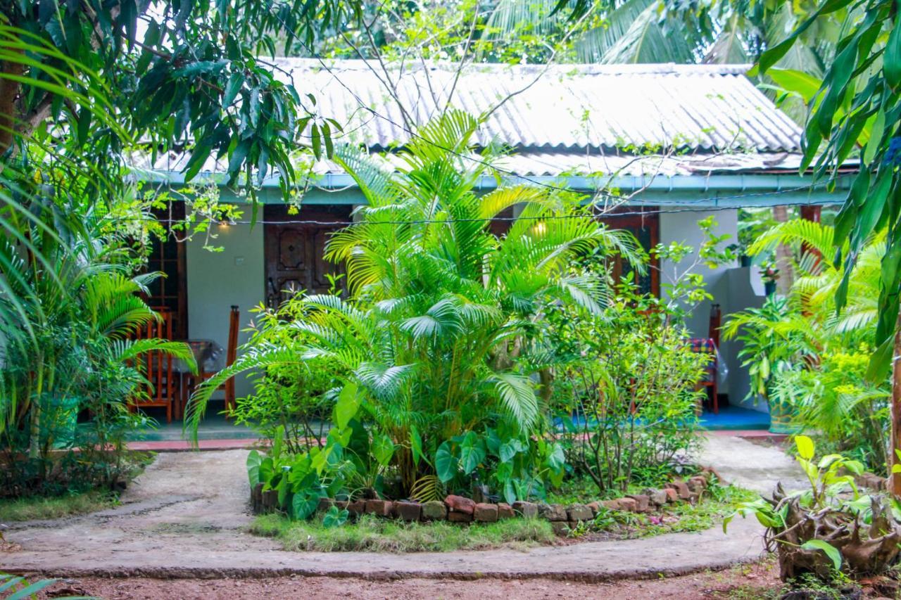 Sun Flower Homestay Сигирия Экстерьер фото