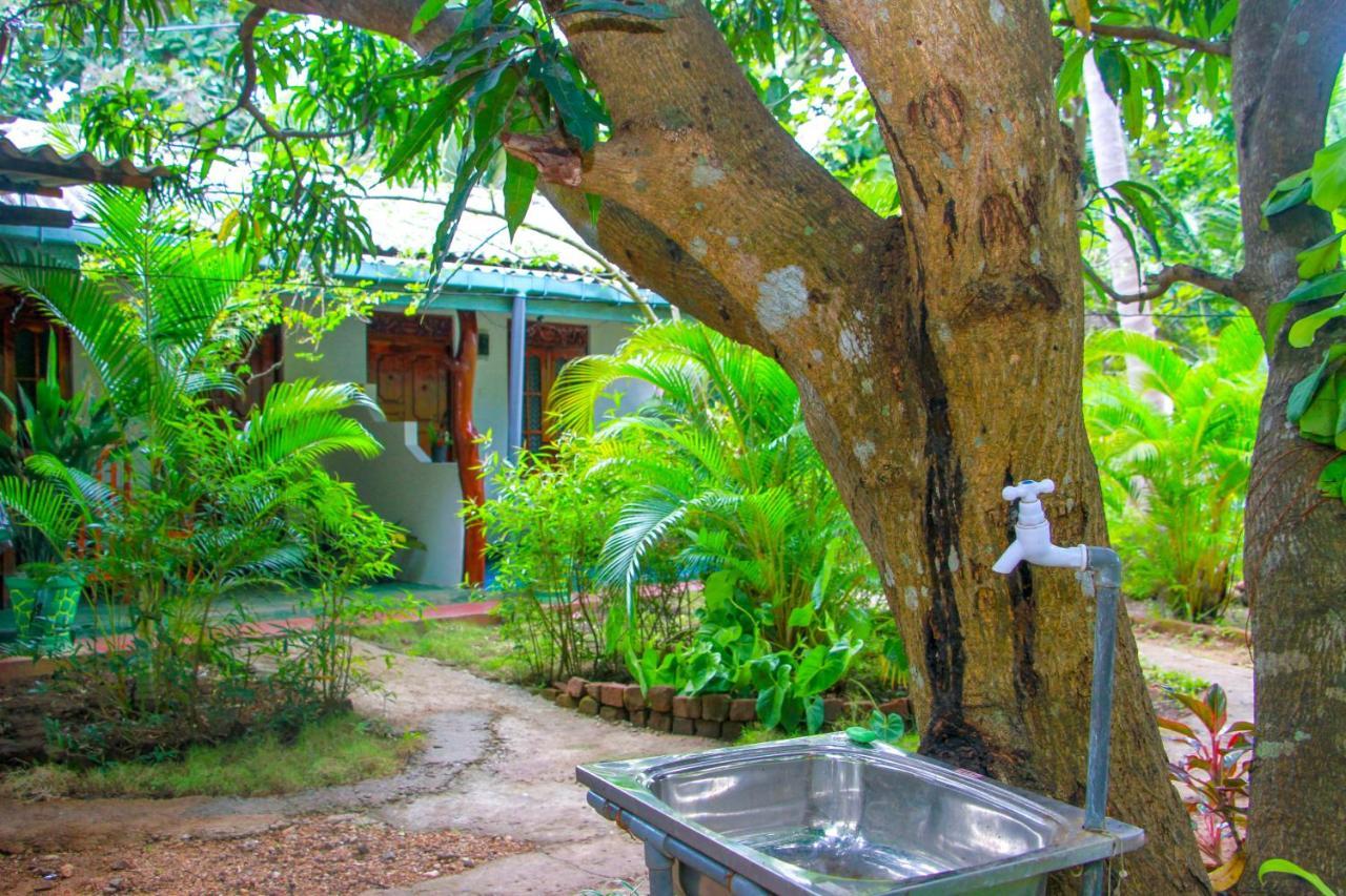 Sun Flower Homestay Сигирия Экстерьер фото