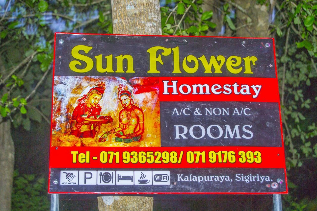 Sun Flower Homestay Сигирия Экстерьер фото