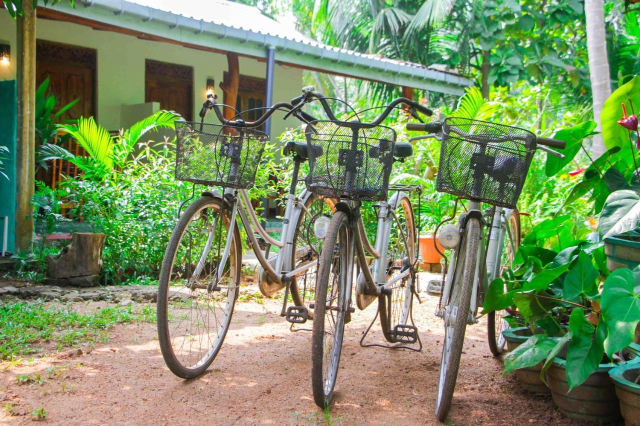 Sun Flower Homestay Сигирия Экстерьер фото